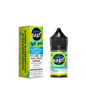 Blessed Blueberry Mint Iced by Flavour Beast Salt - E-Liquid (30ml)
